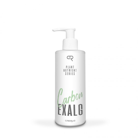 Exalg