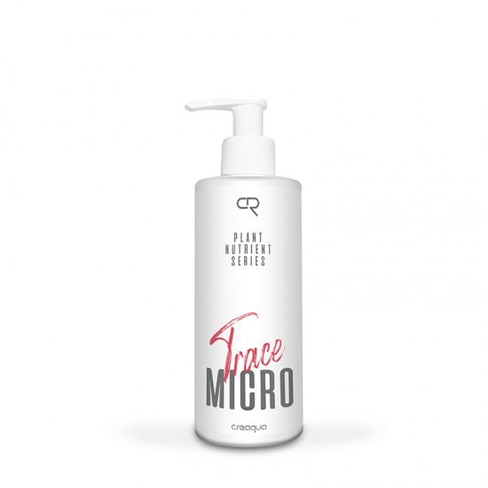 Micro