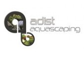 Adist Aquascaping Gallery