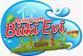 Akvaryum Bitki Evi Akvaryum Bitki Evi