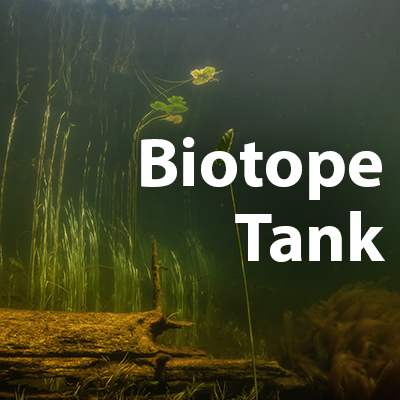What is a Biotope Aquarium?