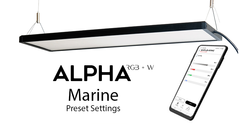 ALPHA RGBW Marine Setup and Simulation Guide