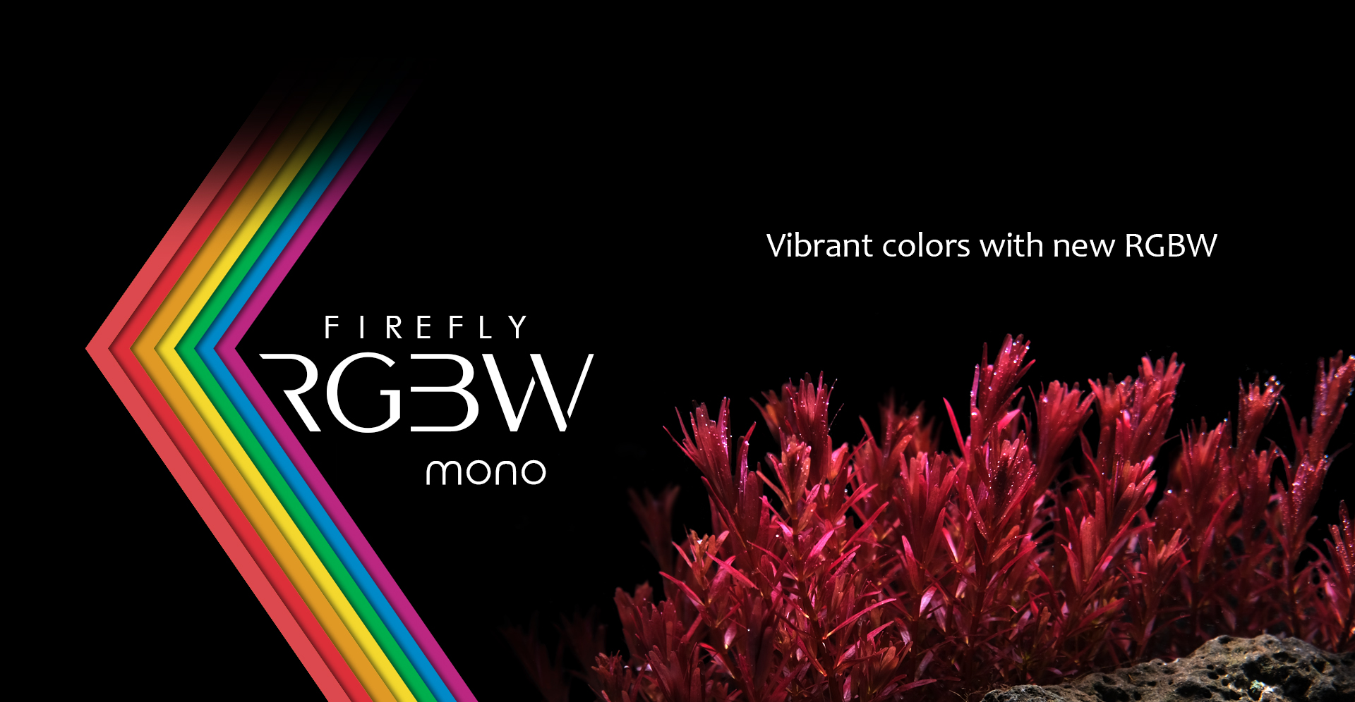 Firefly RGBW mono